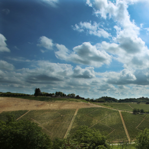 Paesaggio_1